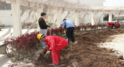 k8����������Ӯ�ҡ�һ������(�й���)�ٷ���վ