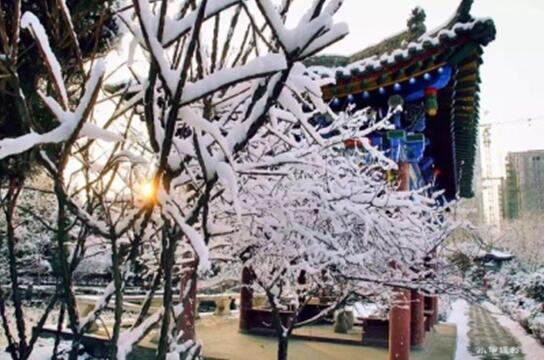 k8����������Ӯ�ҡ�һ������(�й���)�ٷ���վ