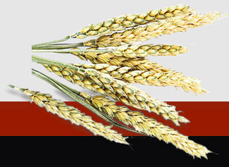 ���ݿ���(���Ρ�ku��)�ٷ���վ