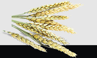 ���ݿ���(���Ρ�ku��)�ٷ���վ