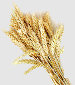 ���ݿ���(���Ρ�ku��)�ٷ���վ