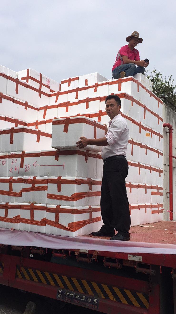 ���ݿ���(���Ρ�ku��)�ٷ���վ