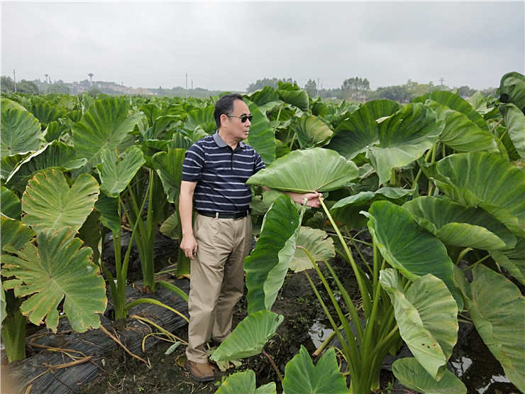 ���ݿ���(���Ρ�ku��)�ٷ���վ