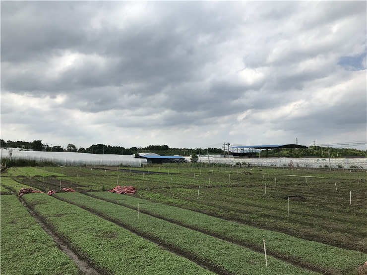 ���ݿ���(���Ρ�ku��)�ٷ���վ