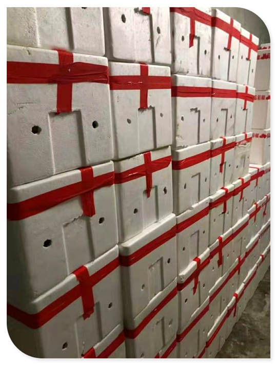 ���ݿ���(���Ρ�ku��)�ٷ���վ