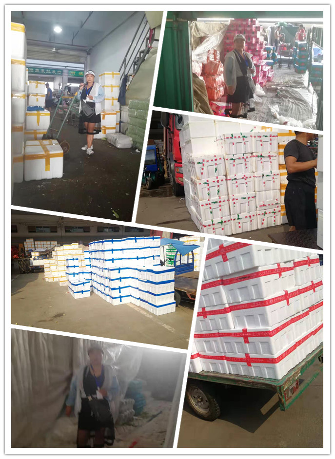 ���ݿ���(���Ρ�ku��)�ٷ���վ