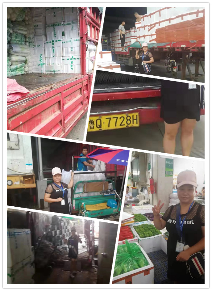 ���ݿ���(���Ρ�ku��)�ٷ���վ