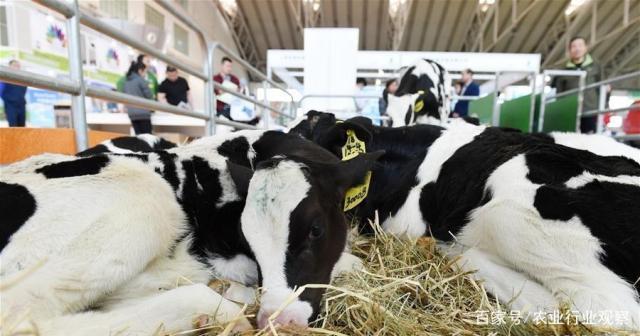 ���ݿ���(���Ρ�ku��)�ٷ���վ