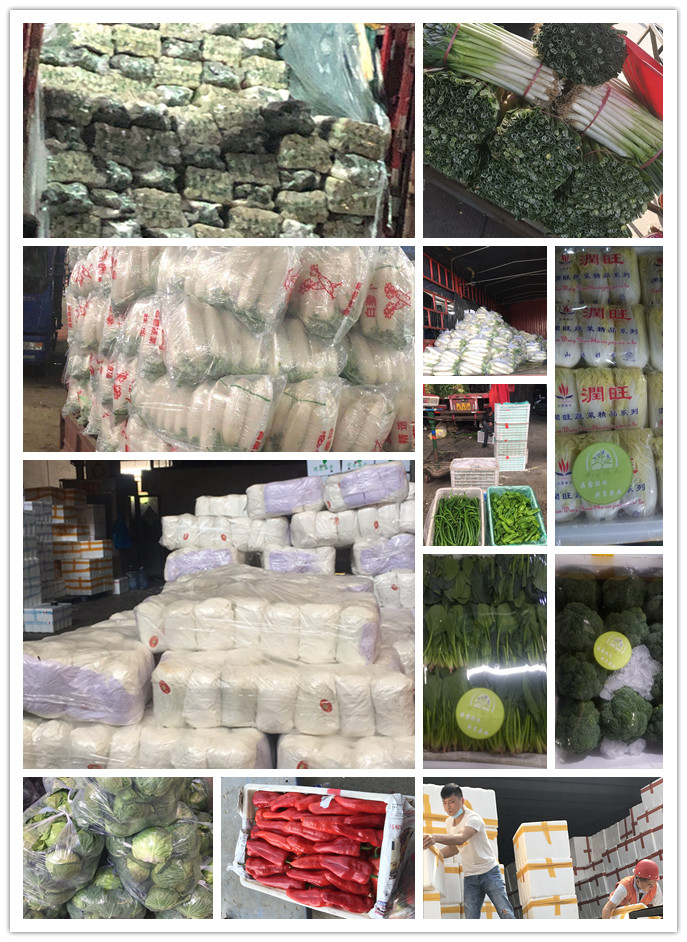 ���ݿ���(���Ρ�ku��)�ٷ���վ