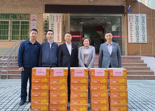 �ᶨ�����������������ٷ�չ