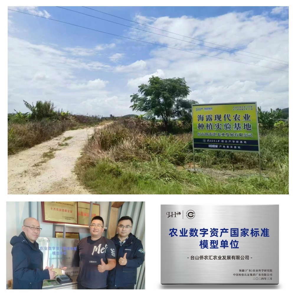 1-240311103GL07 九州酷游(酷游·ku游)官方网站