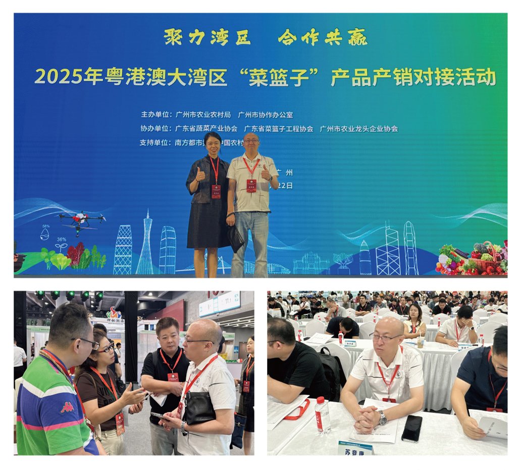 1-250R611033C27 九州酷游(酷游·ku游)官方网站